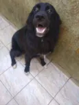 Loki