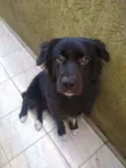 Loki