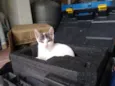 Mobi