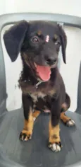 Lila
