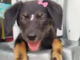 Lila