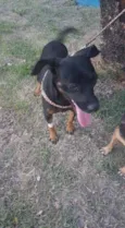 Ritinha