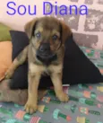 Diana
