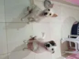Luci e Fred