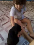Salsicha