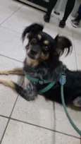 Bili
