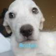 Boston