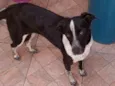 Mili