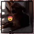 Kelly e thor
