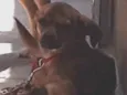 Kelly e thor