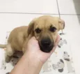 Théo
