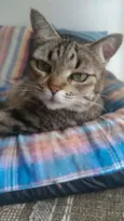 LULY