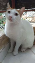Zoé