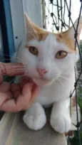 Zoé