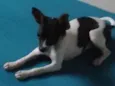 Jack