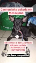 Kaka
