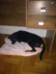 Nina