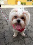 Jully