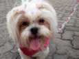 Jully