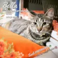 Bella
