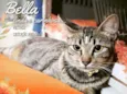Bella