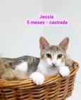 Lara e Jessy