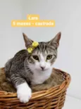 Lara e Jessy