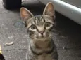 Bob