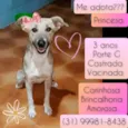 Princesa