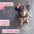 Lila
