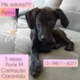 Pietra