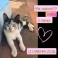Dalila