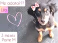 Lila