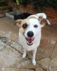 Manu