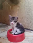 Mimi e Rubi