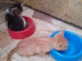 Mimi e Rubi