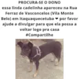 Perdida