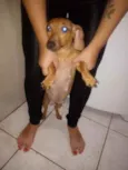 Pirulito e Jhuly
