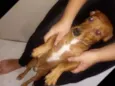 Pirulito e Jhuly