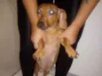 Pirulito e Jhuly