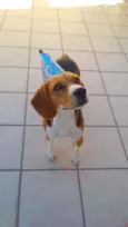 Billy