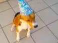 Billy