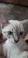 Tópico