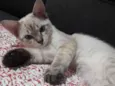 Tópico