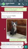 Frajola