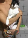 Bartô