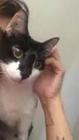 Bartô