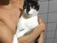 Bartô