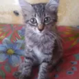 Mimi