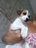 Tieta